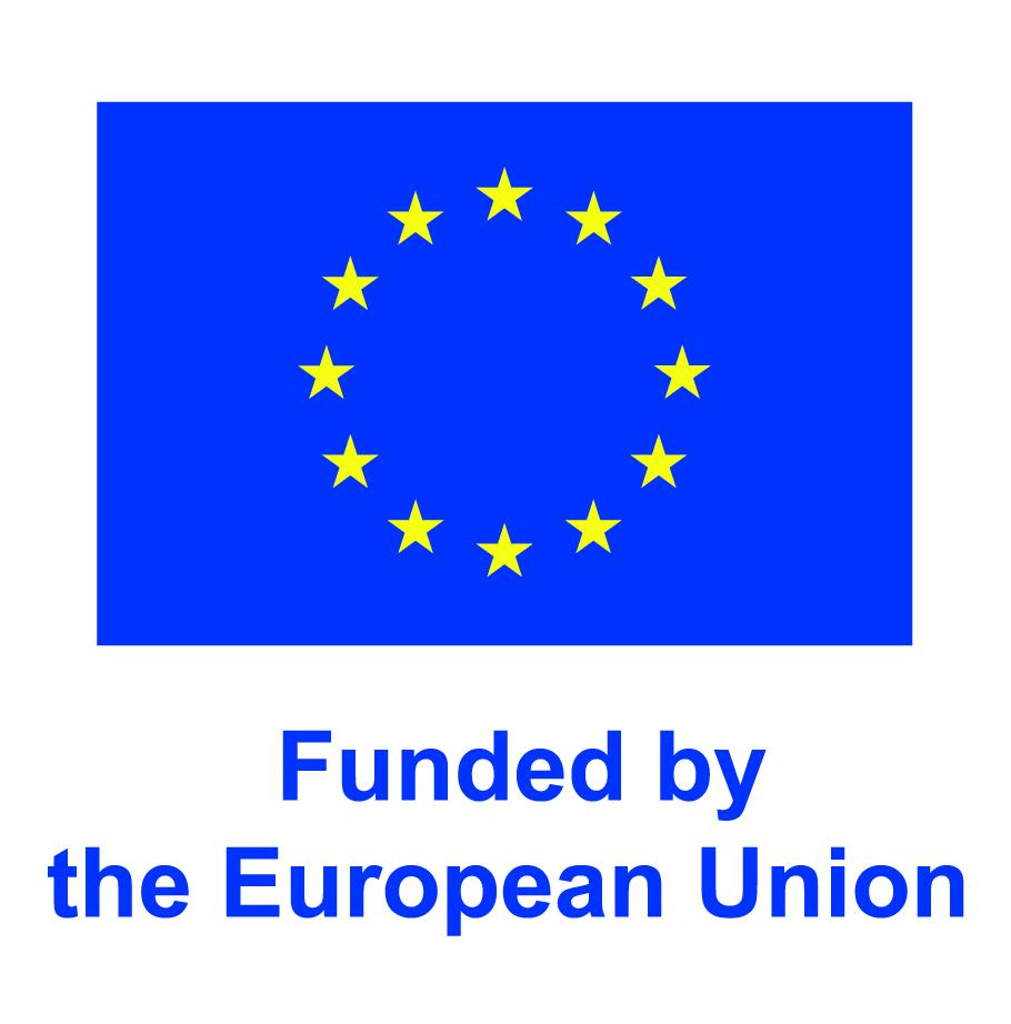 European flag and declaration of funding
